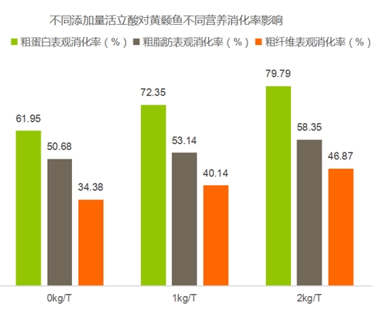 水產案例5：活立酸對黃顙魚的消化率的提升