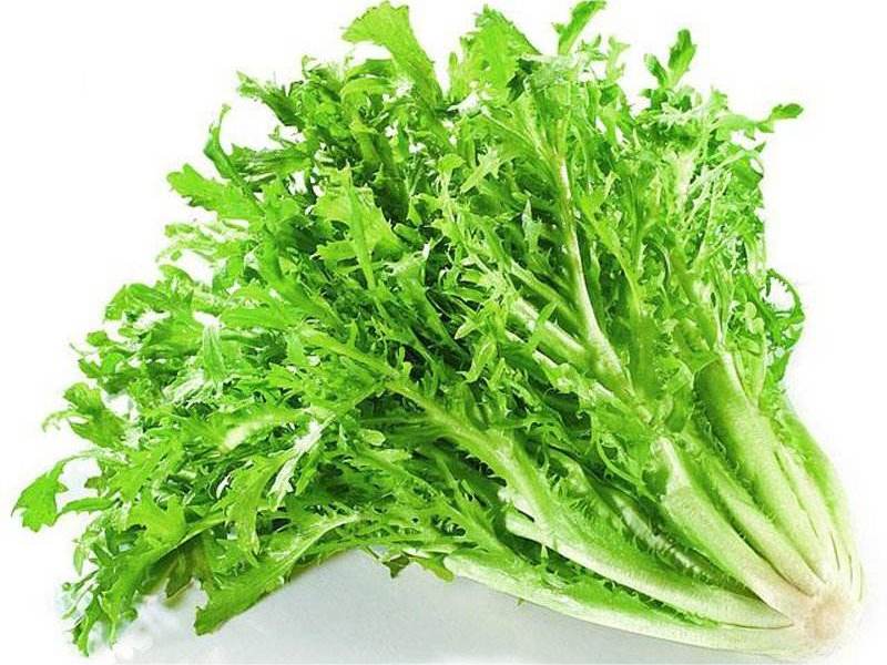 食材配送從生產(chǎn)、采摘再到蔬菜配送無縫銜接
